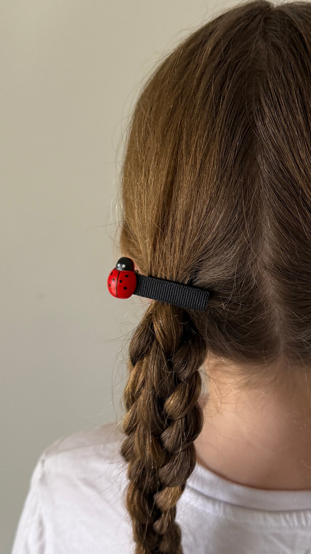 Ladybug
