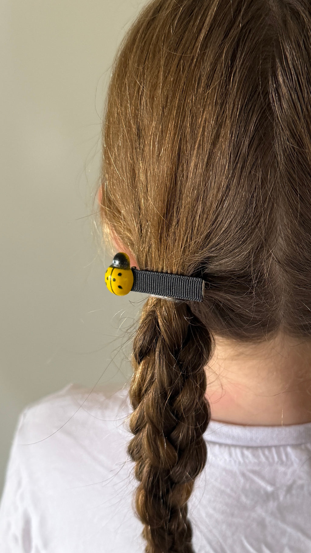 Ladybug